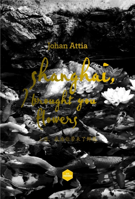 http://www.johan-attia.com/files/gimgs/th-15_0.jpg