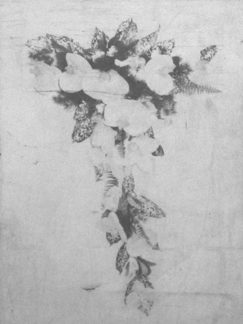 http://www.johan-attia.com/files/gimgs/th-5_15.jpg