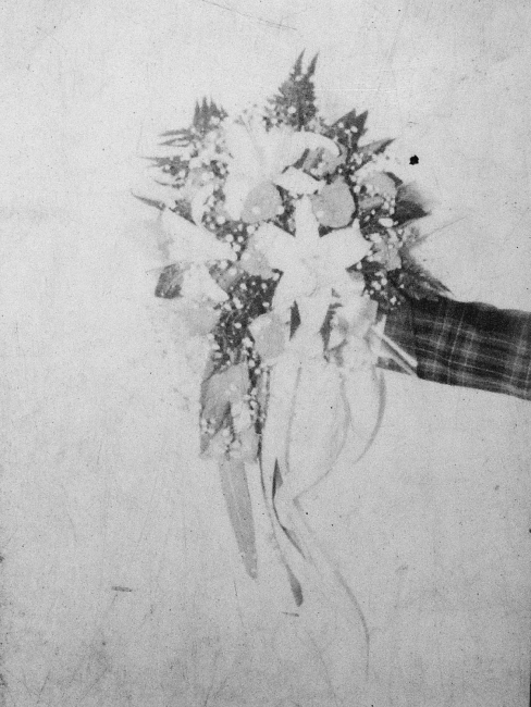 http://www.johan-attia.com/files/gimgs/th-5_20.jpg