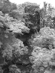 http://www.johan-attia.com/files/gimgs/th-2_bosquet.jpg